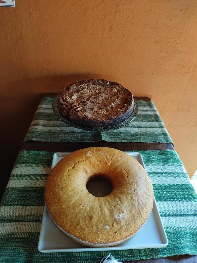 Pousada Parador Santa Branca 蓬塔格罗萨 外观 照片